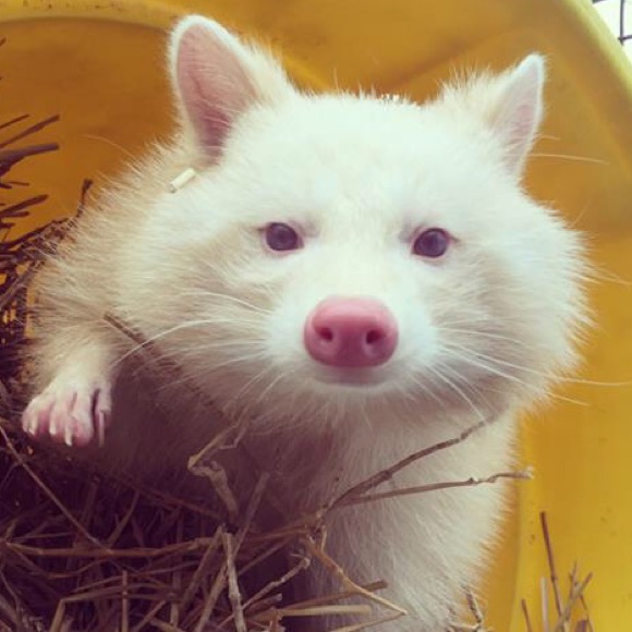 Meet your Posher, Erica - Picture 1 of 1